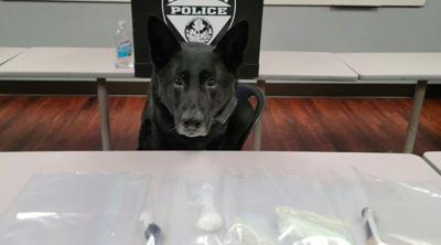 Police: Stolen vehicle, multiple drugs located by K9 officer