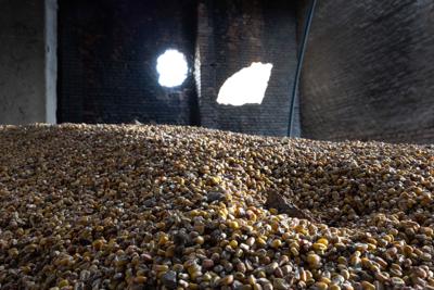 US and allies struggle to come up with plans to get vital grain supplies out of Ukraine