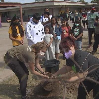 Students, staff plant 100 trees to celebrate Emerson Elementary centennial