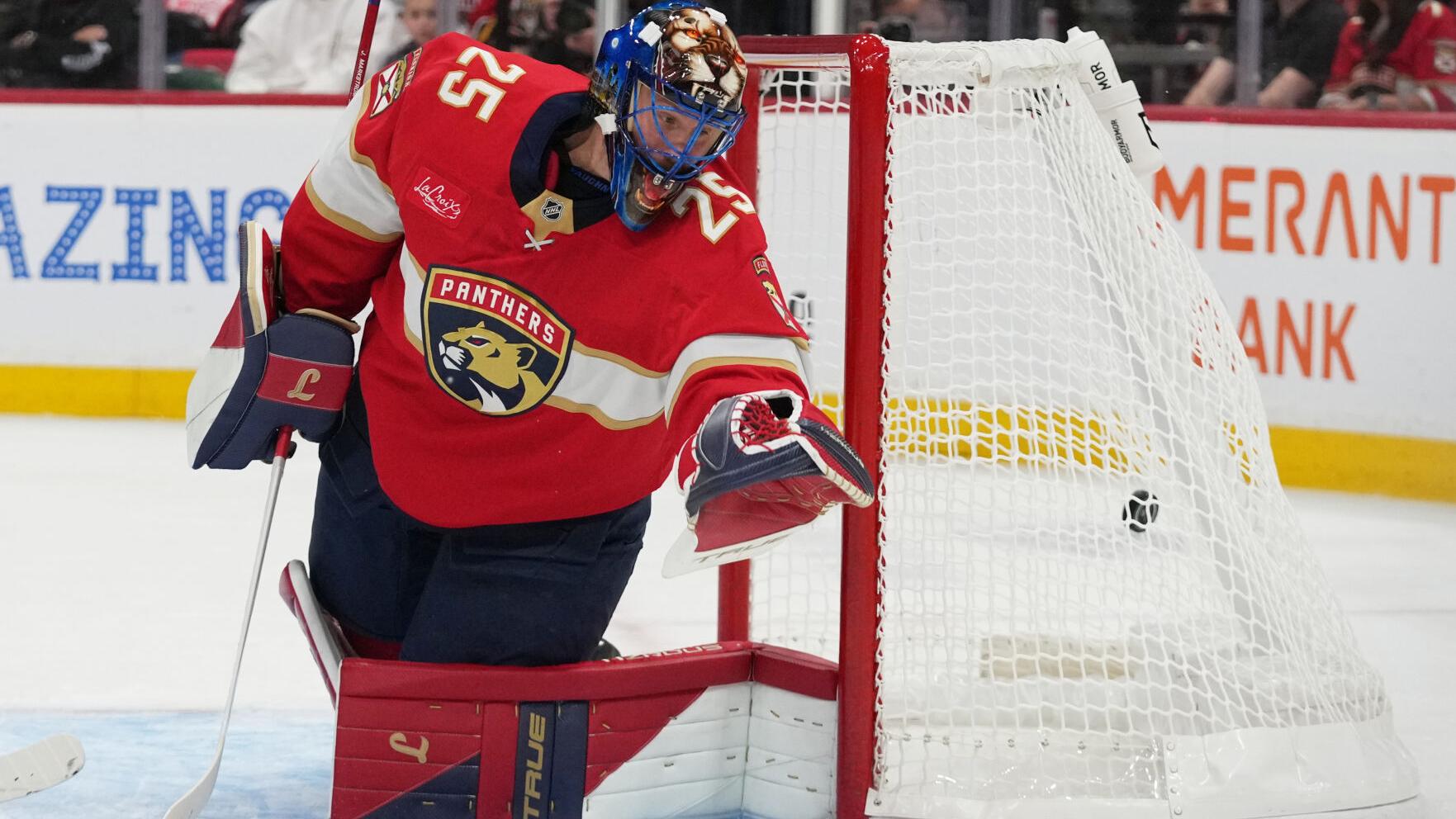 Wild Panthers Hockey