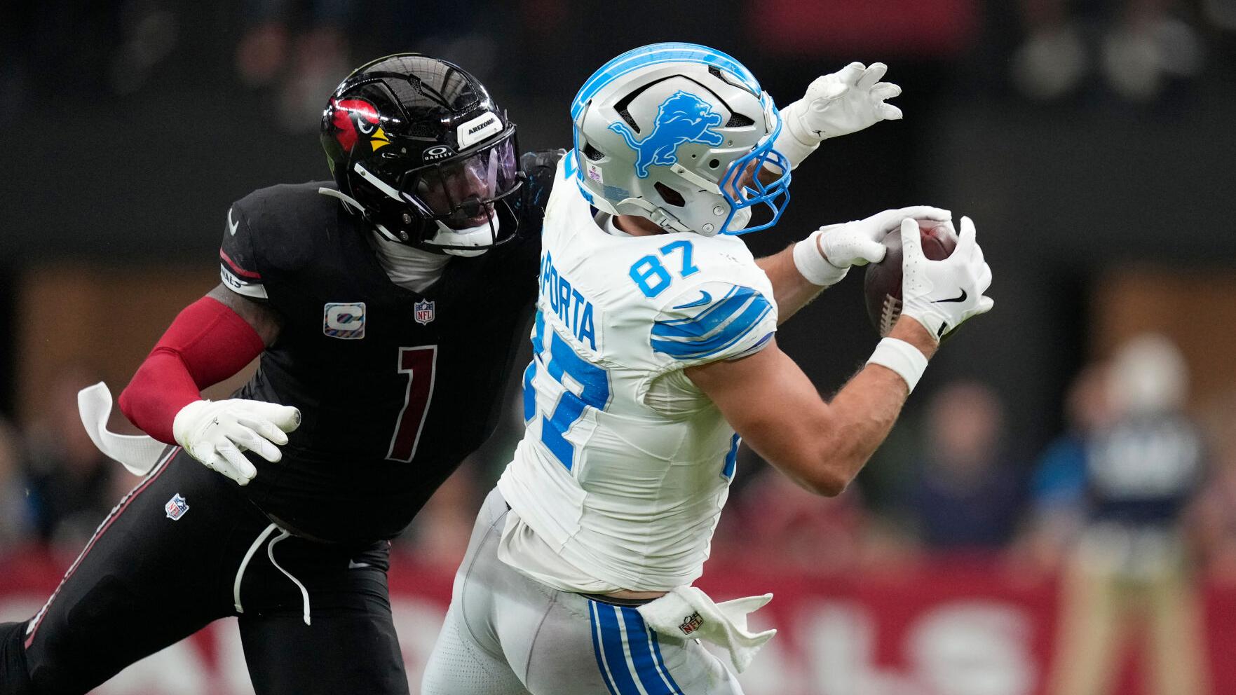 Lions Cardinals Football