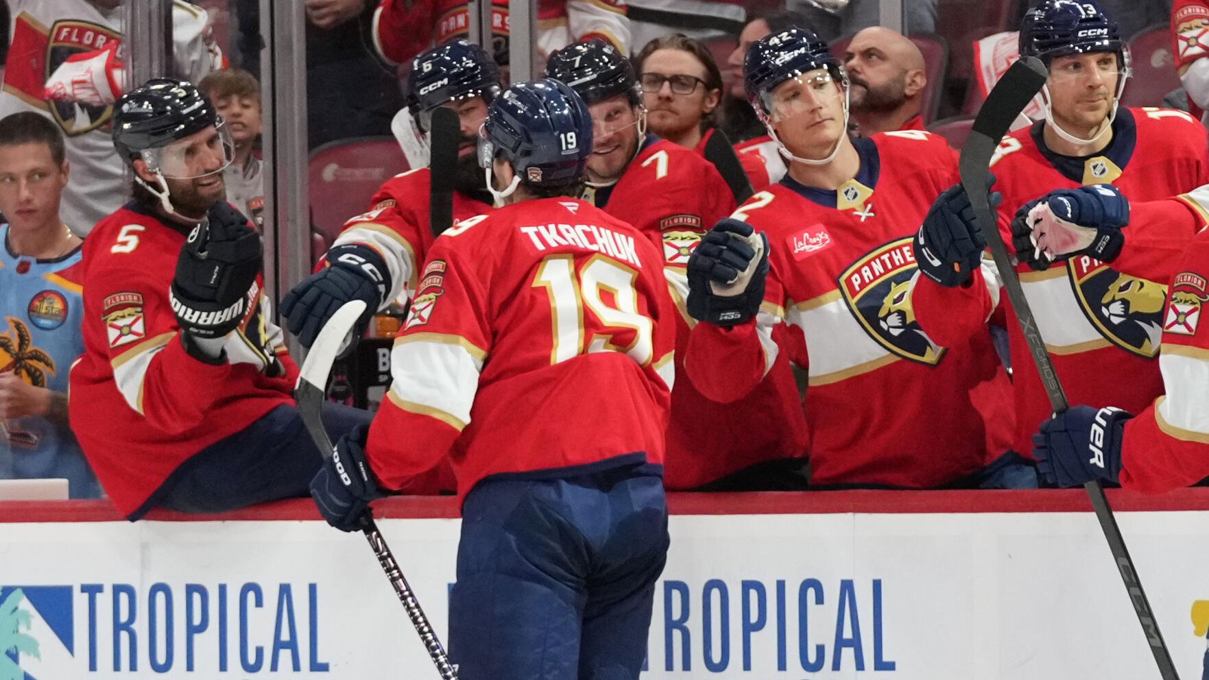Wild Panthers Hockey