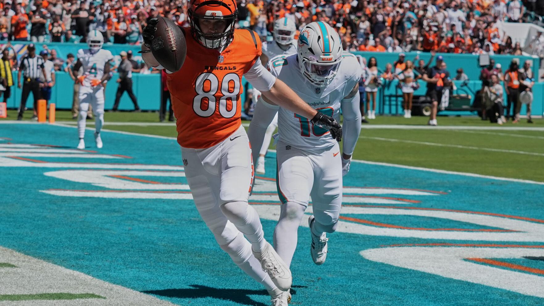 Bengals Dolphins Football