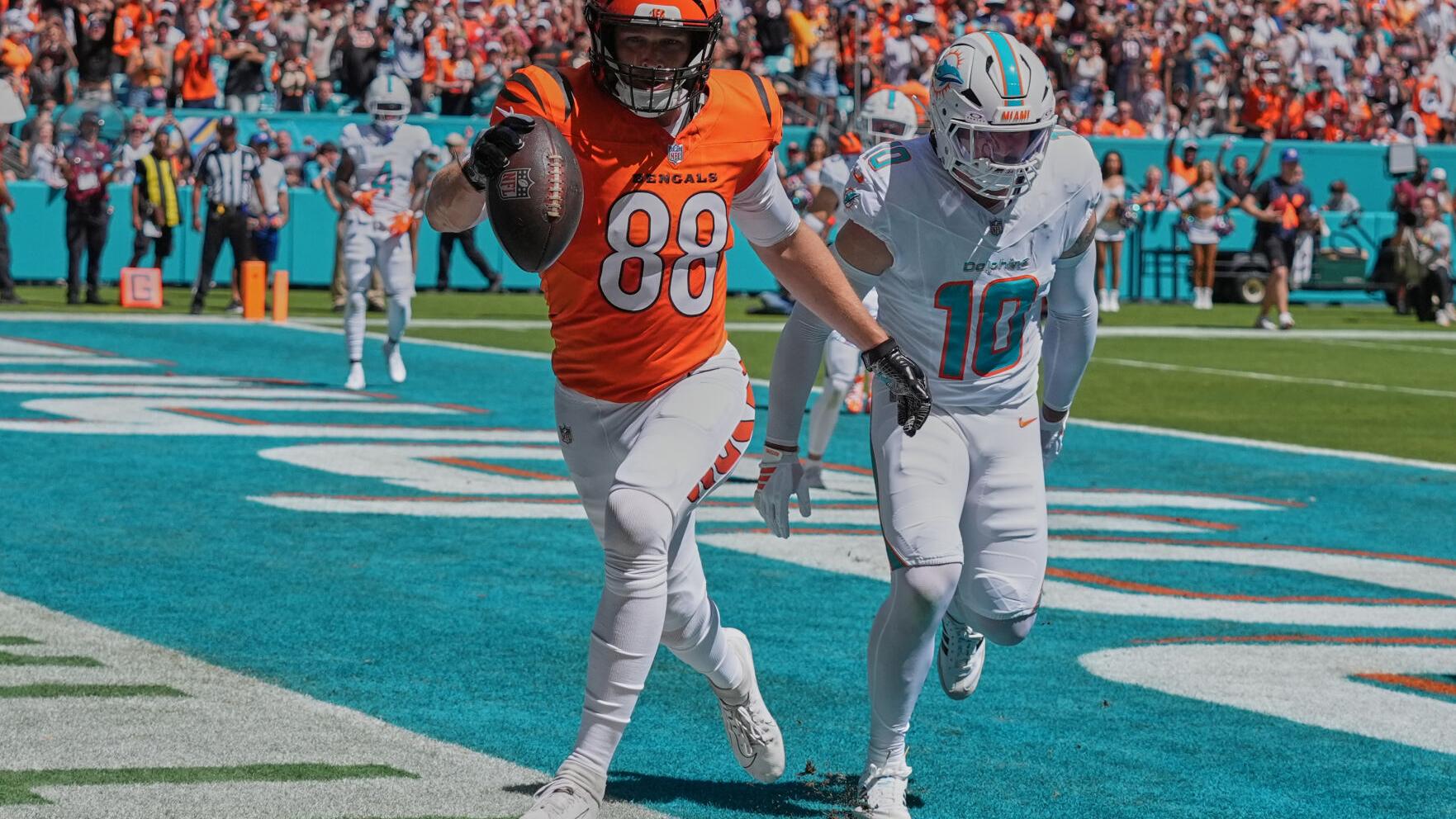 Bengals Dolphins Football