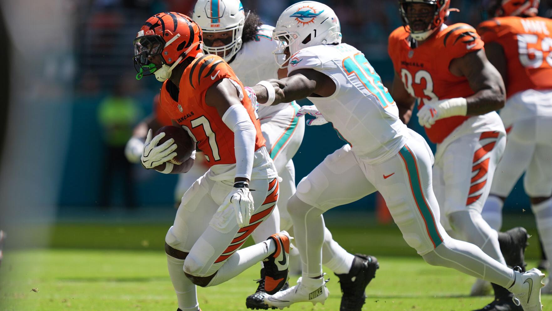 Bengals Dolphins Football