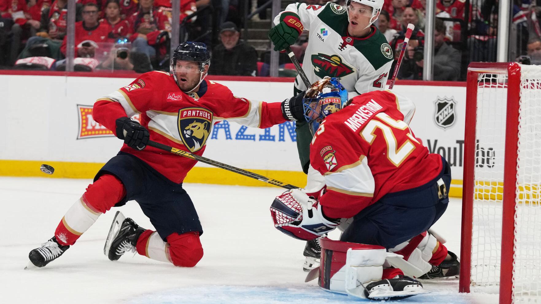Wild Panthers Hockey