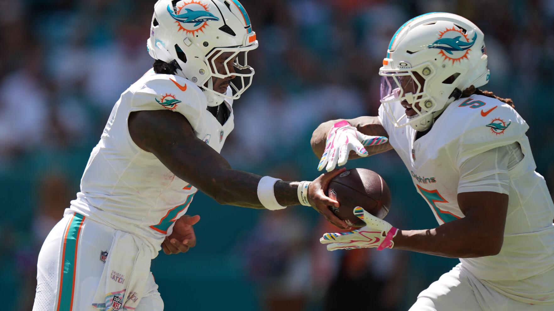 Bengals Dolphins Football