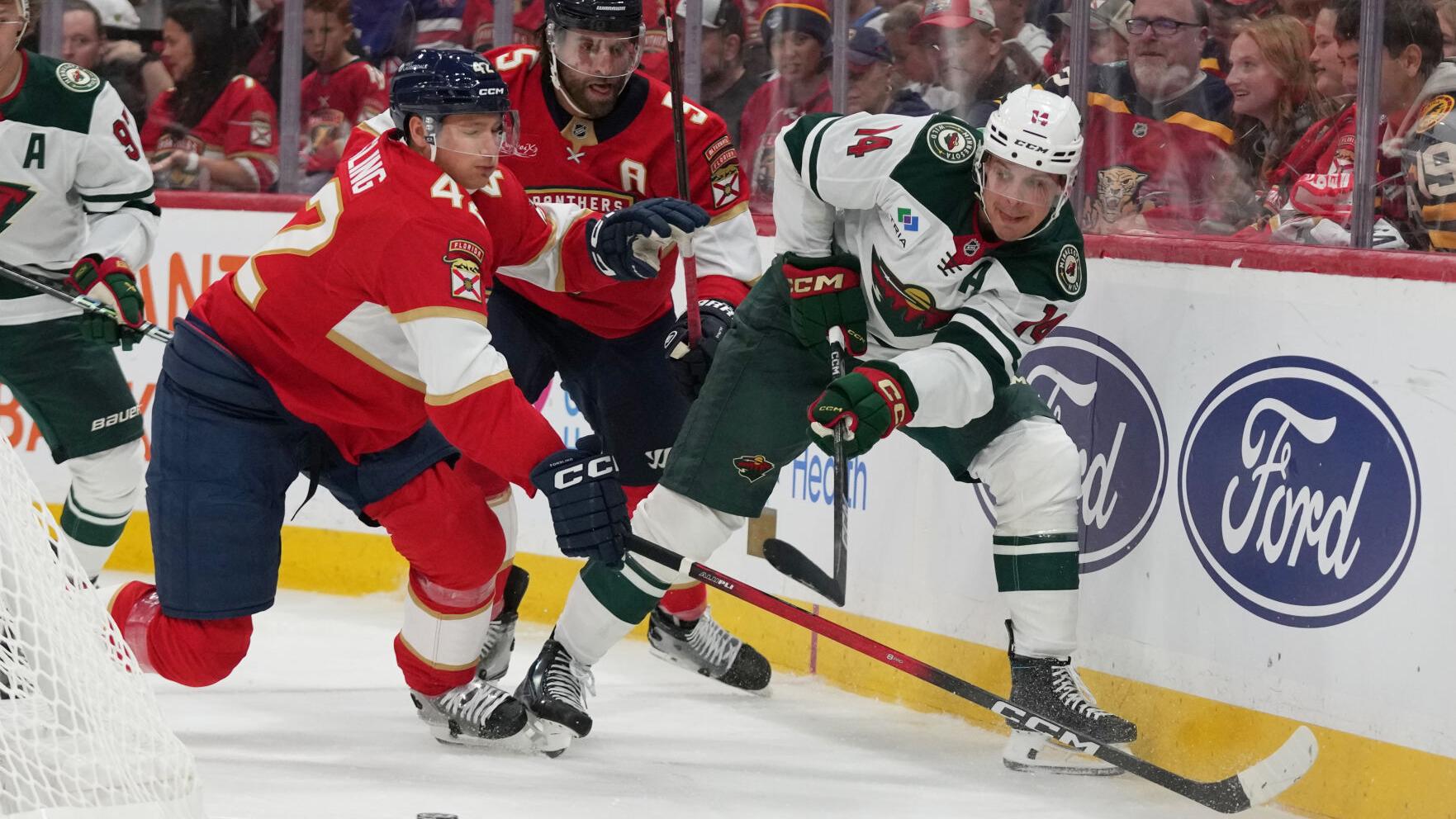 Wild Panthers Hockey