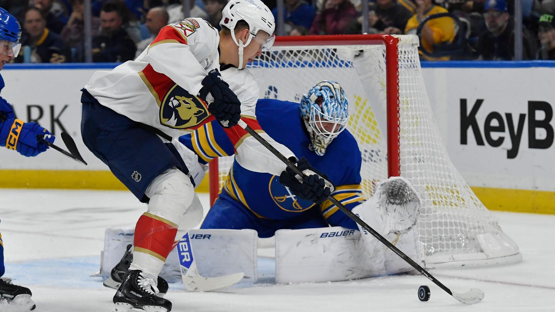 Panthers Sabres Hockey