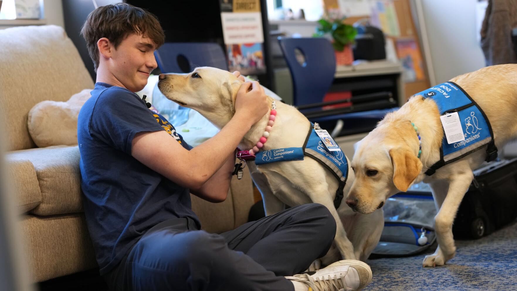 Trauma Dogs School Shooting