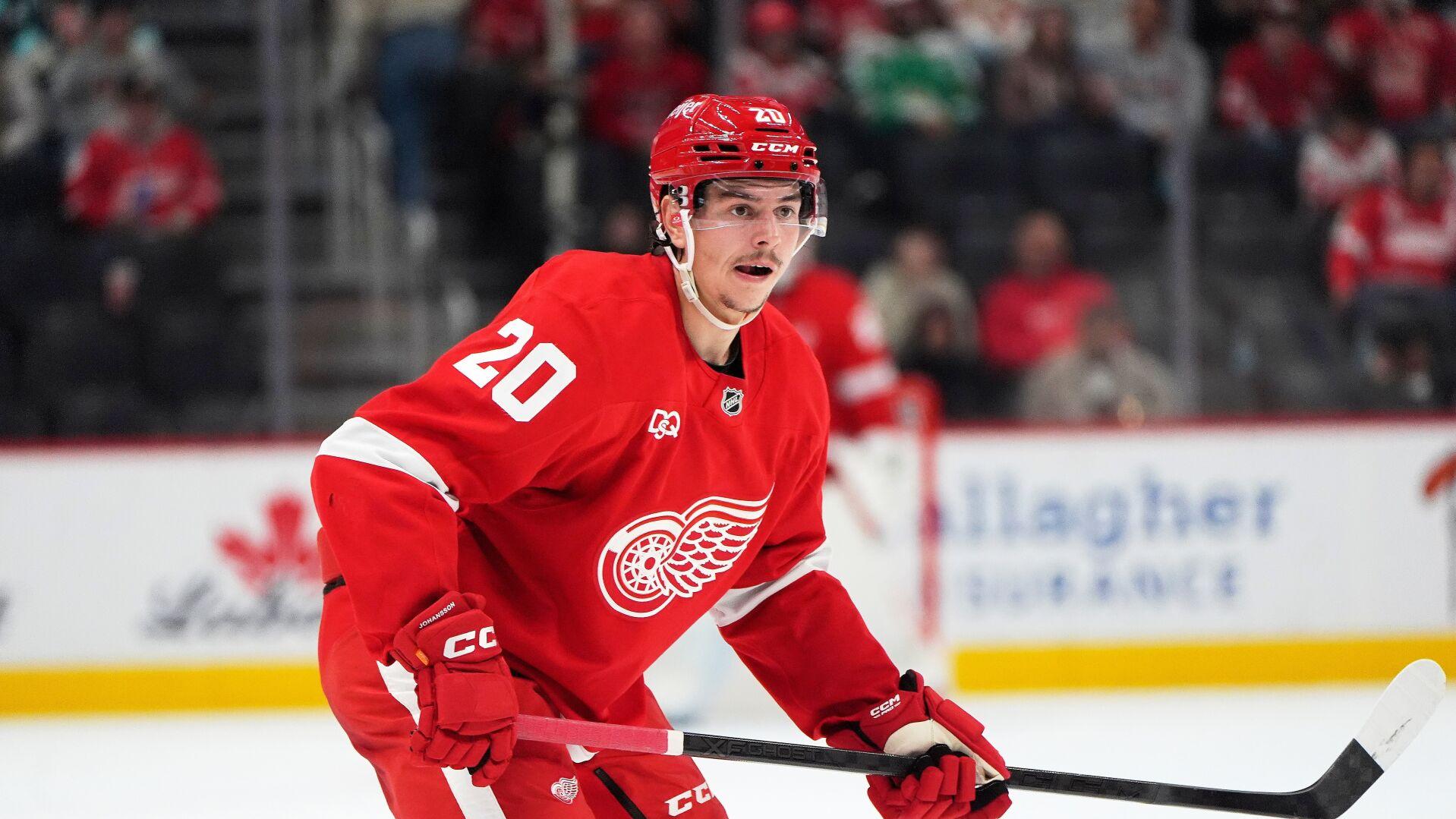 Red Wings Hockey
