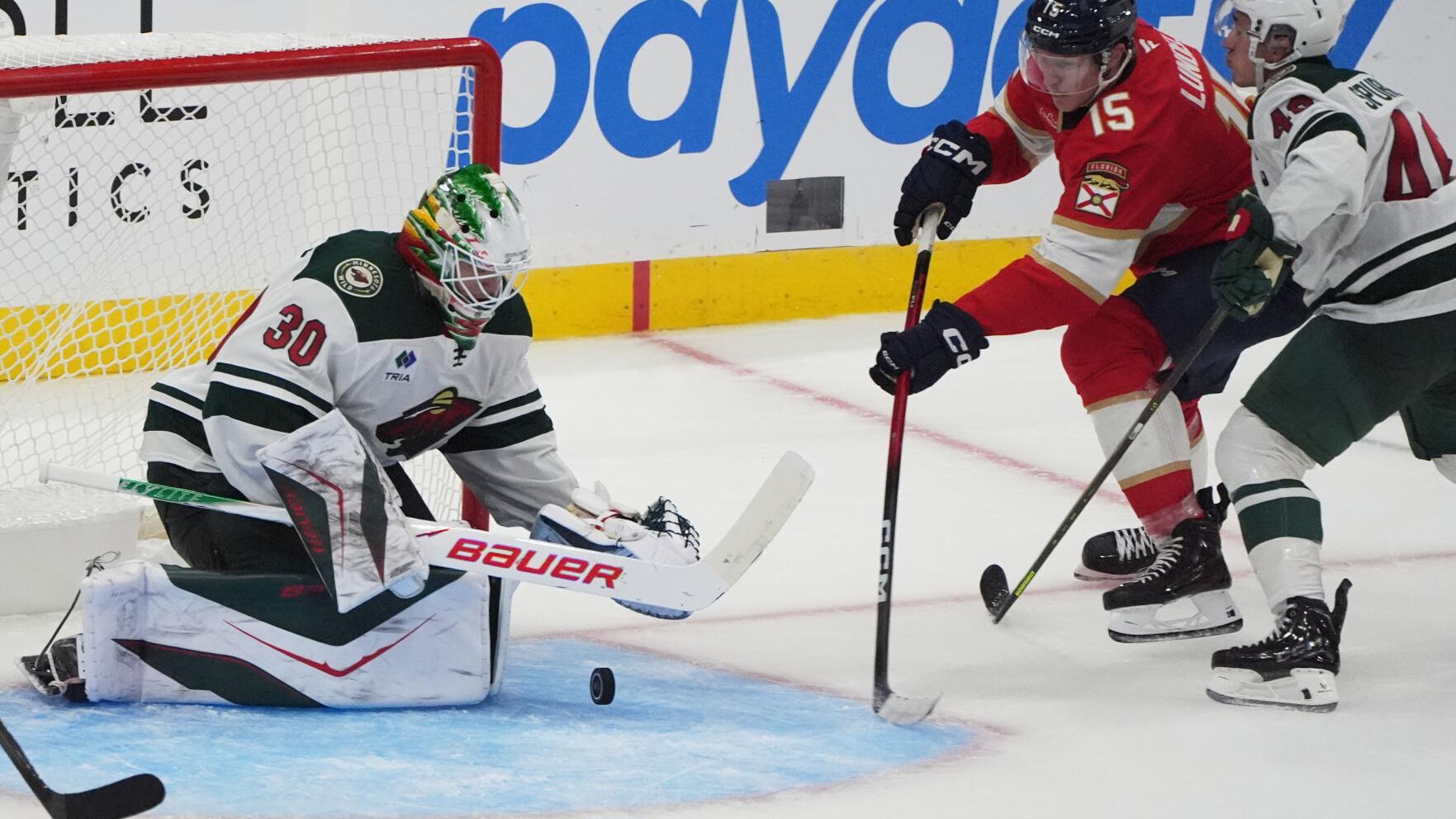 Wild Panthers Hockey