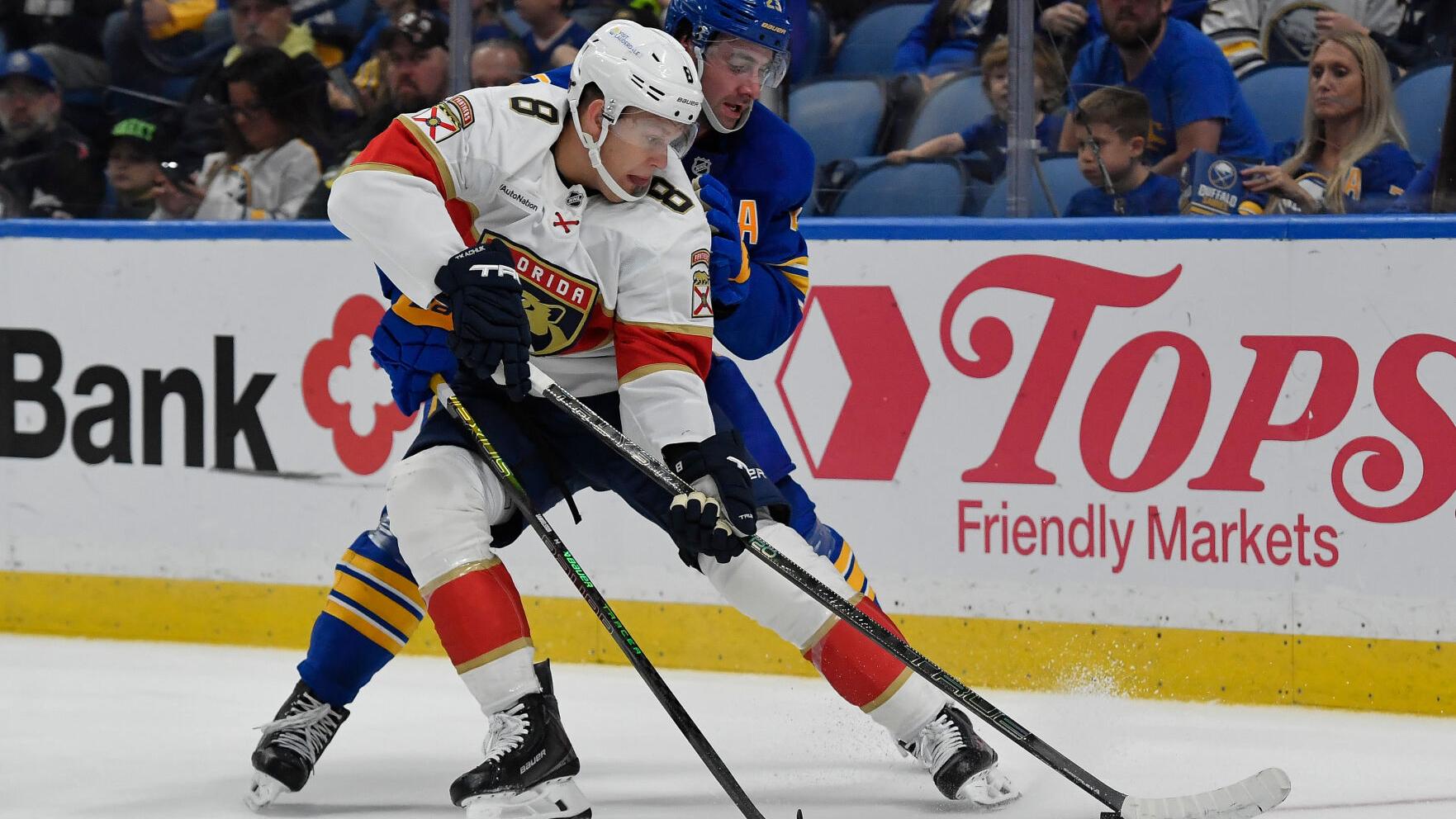 Panthers Sabres Hockey