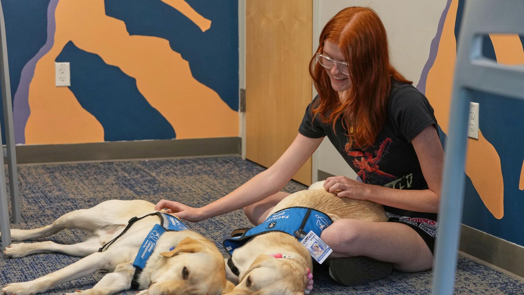 Trauma Dogs School Shooting