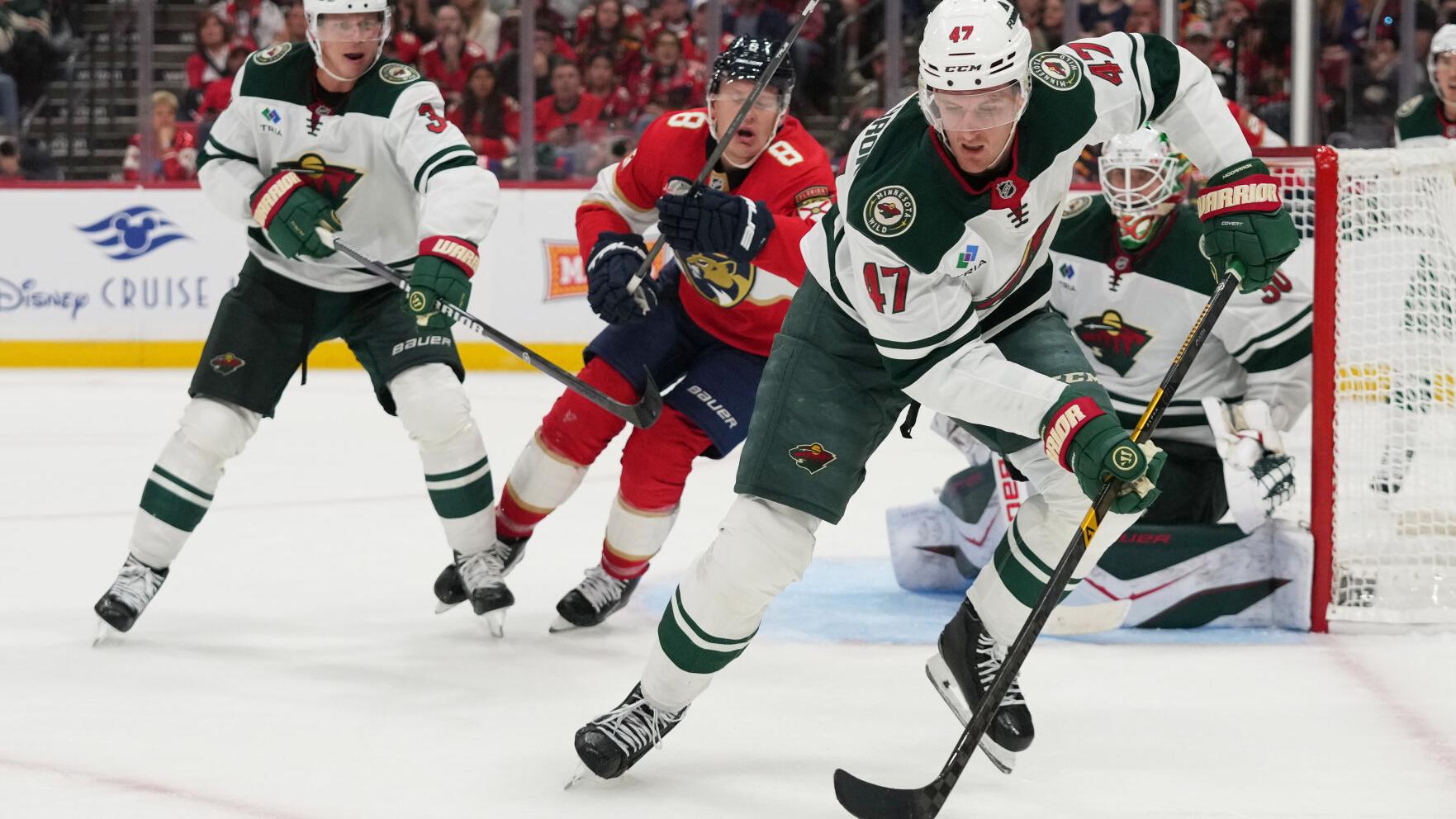 Wild Panthers Hockey
