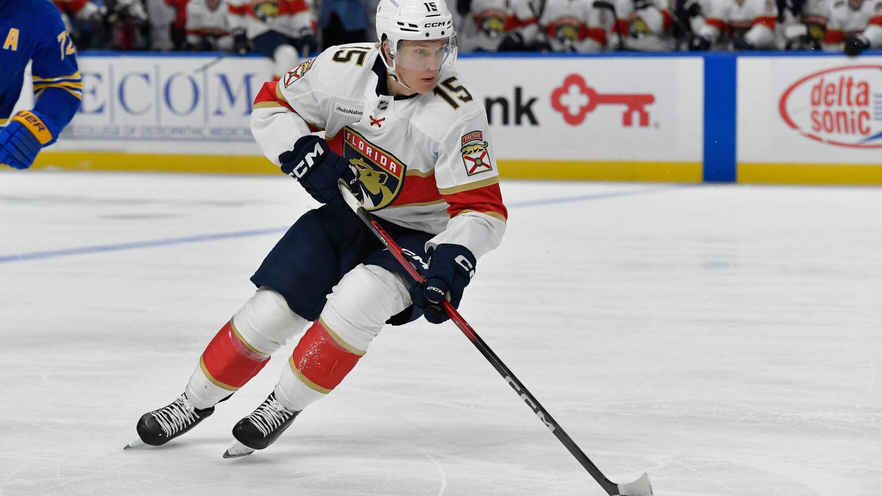 Panthers Sabres Hockey