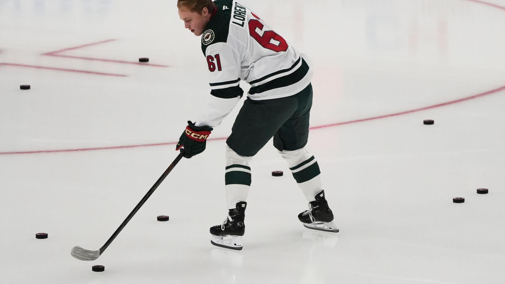 Wild Panthers Hockey