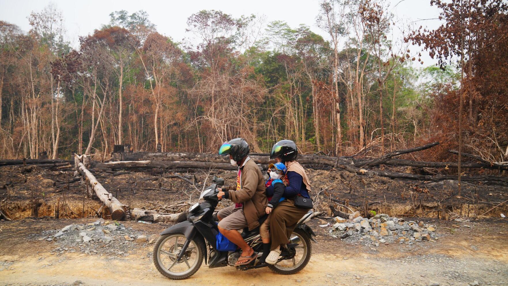 Climate El Nino Peatlands